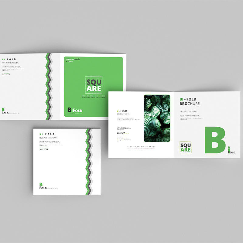 Custom Full Color Flyer Brochu - Commercial Printing Supplies Usa review and price